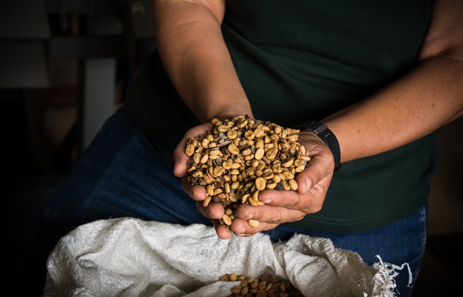 ВМЕСТЕ В БРАЗИЛИЮ! ТОП ВПЕЧАТЛЕНИЙ!(УЖЕ ВКЛЮЧЕНЫ АВИАБИЛЕТЫ ПО ПРОГРАММЕ) (4/51)