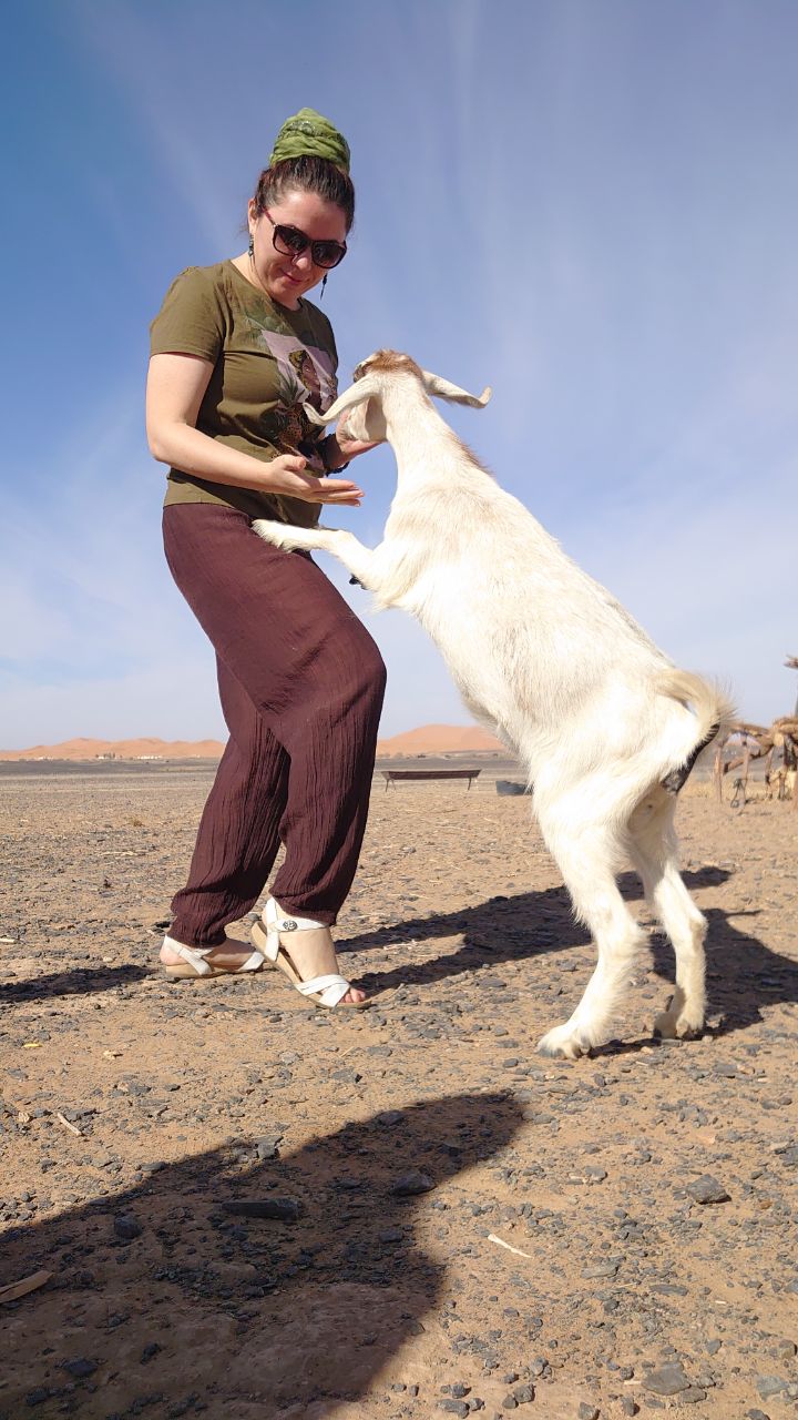 2 в 1: тур по всему Марокко + неделя серфинга! Путешествие на 15 дней с комфортом (37/113)