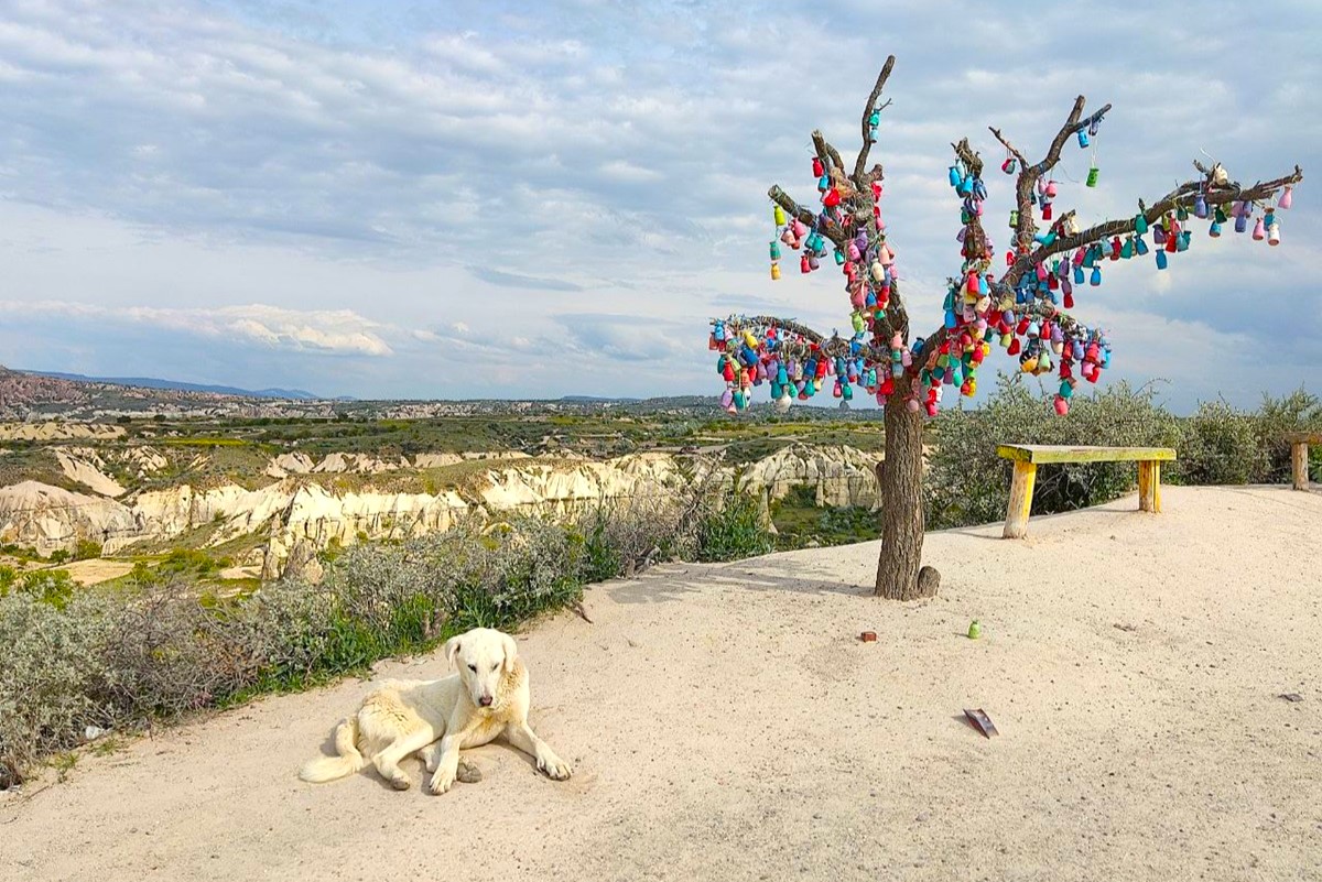 Вся Каппадокия + горы и море (5/47)