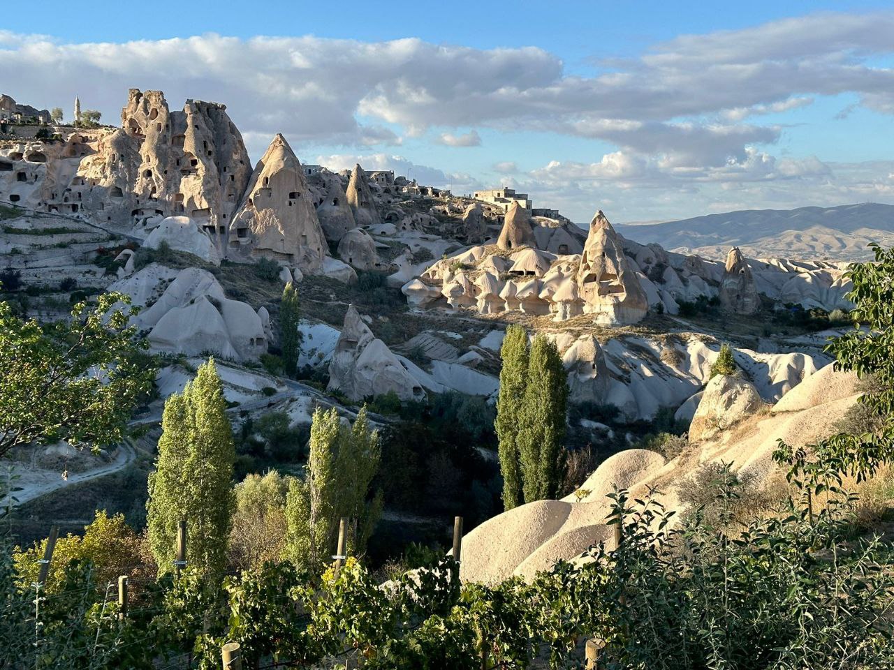 Вся Каппадокия + горы и море (22/47)