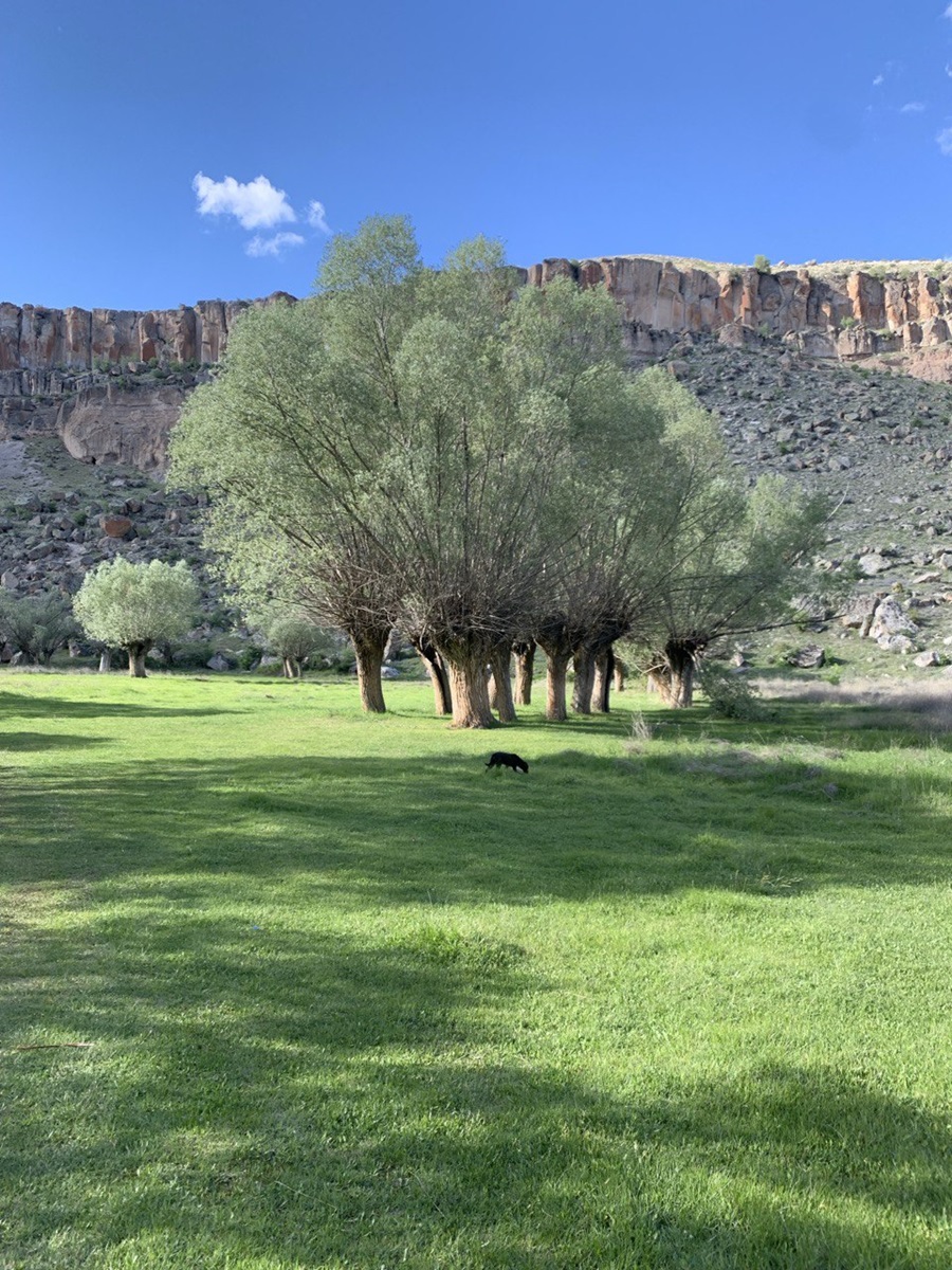 Вся Каппадокия + горы и море (19/47)