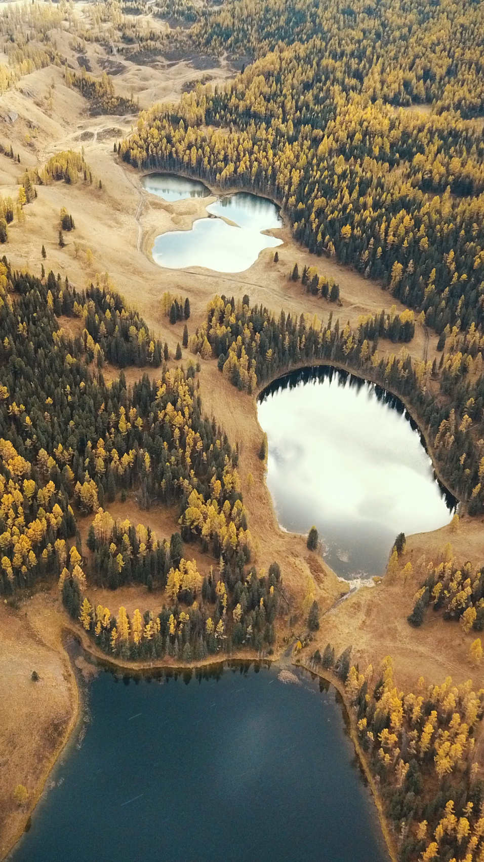 Алтайские каникулы - авто, фототур по горным долинам (9/47)