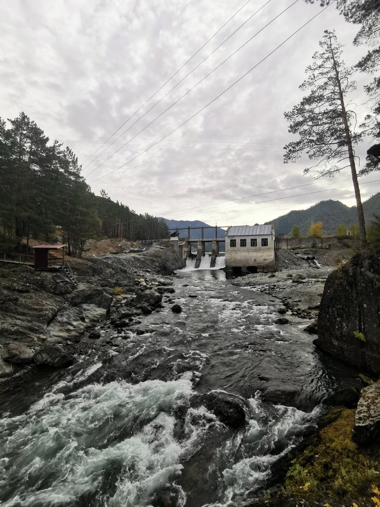 Алтайские каникулы - авто, фототур по горным долинам (16/47)