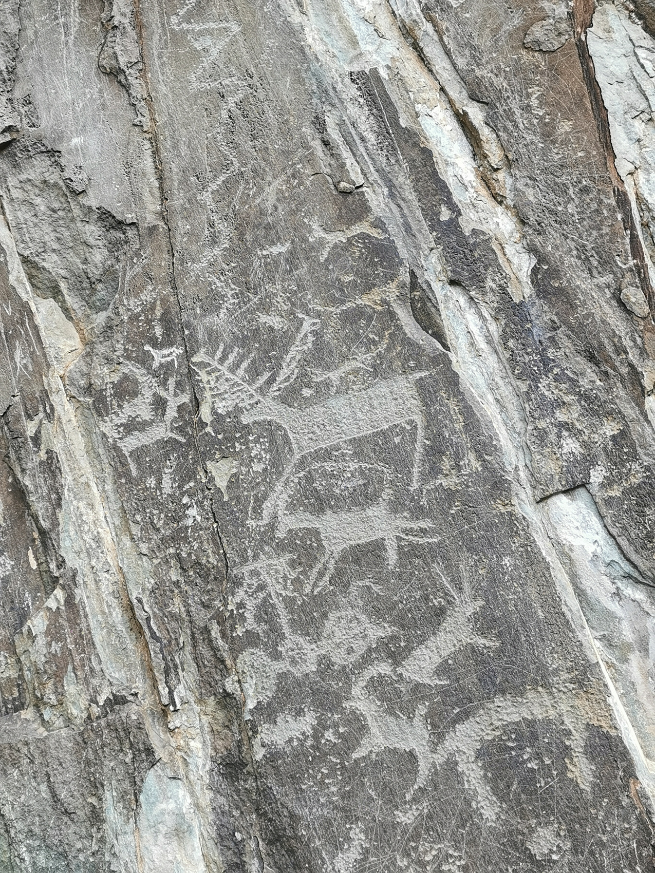 Алтайские каникулы - авто, фототур по горным долинам (25/47)