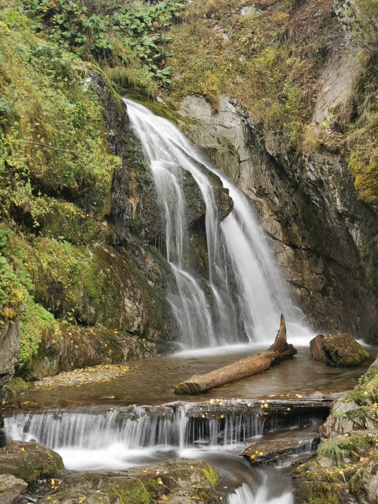 Алтайские каникулы - авто, фототур по горным долинам (29/47)