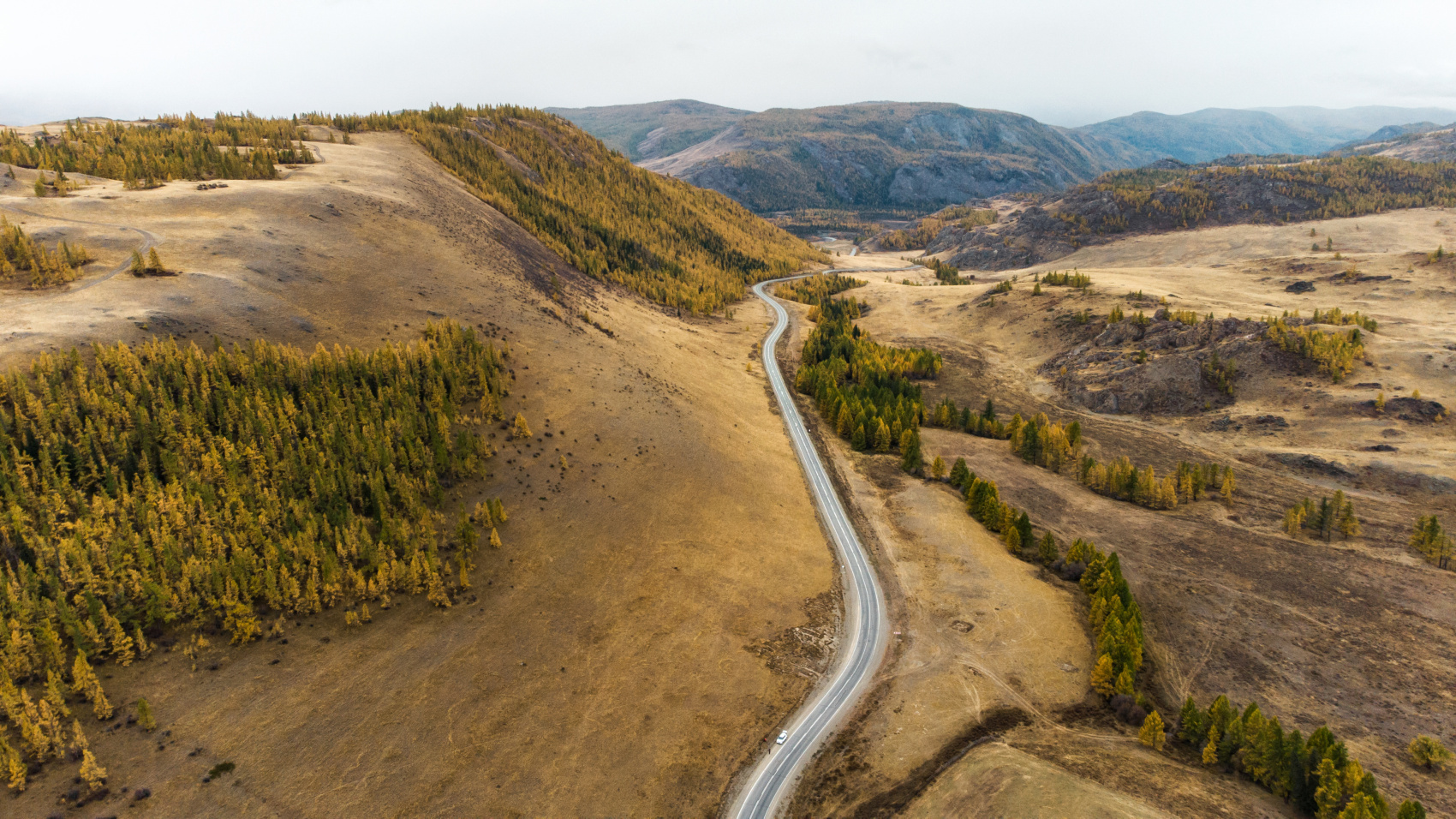 Алтайские каникулы - авто, фототур по горным долинам (7/47)