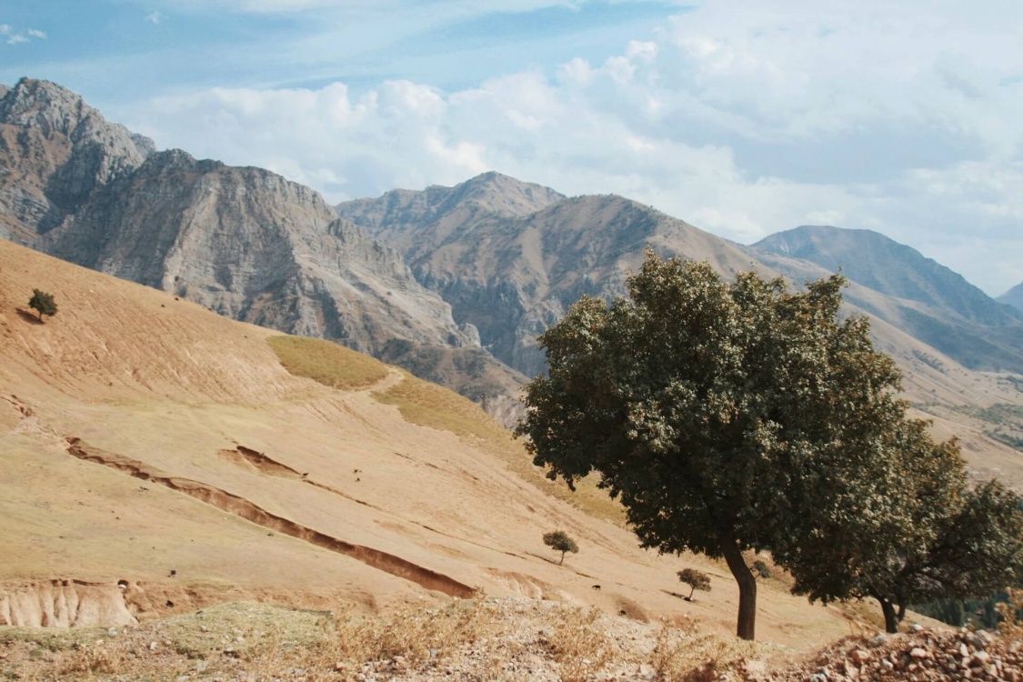 Этнотур по Узбекистану: горы, люди и традиции (10/38)