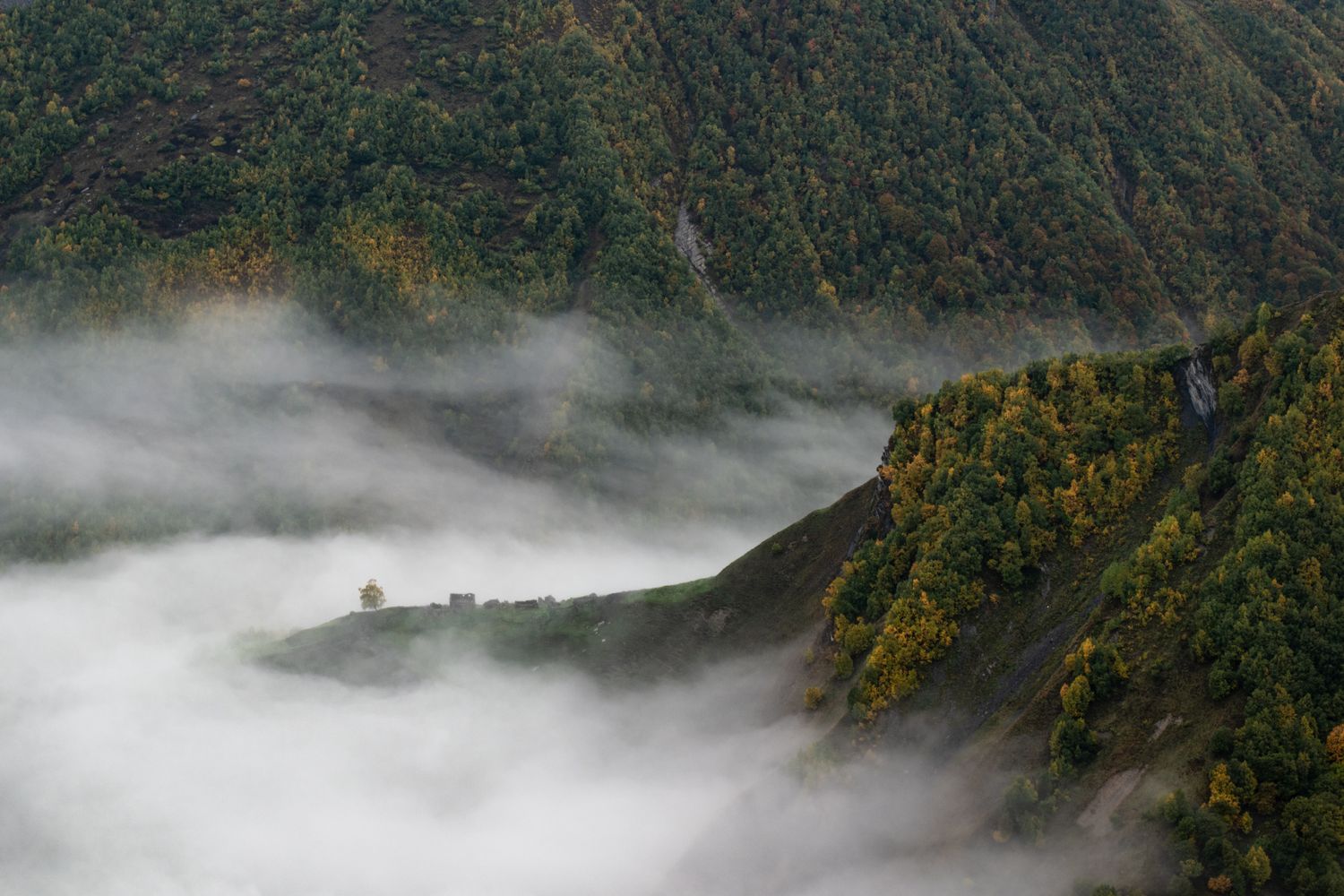 Армения и Грузия в одном путешествии (33/87)
