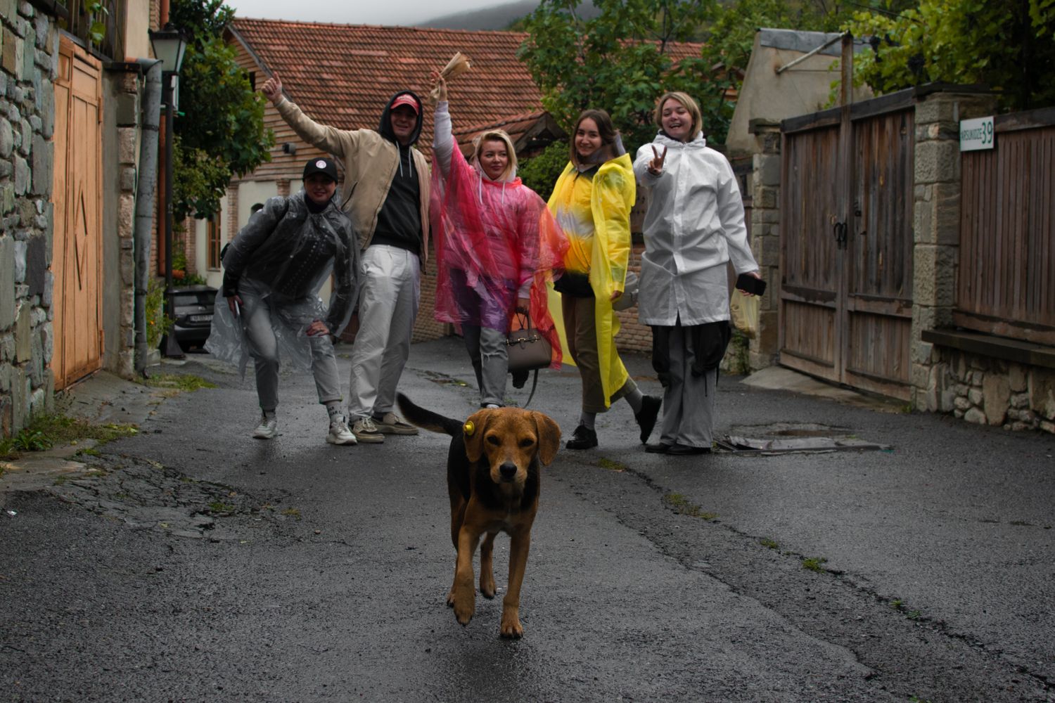 Армения и Грузия в одном путешествии (26/87)