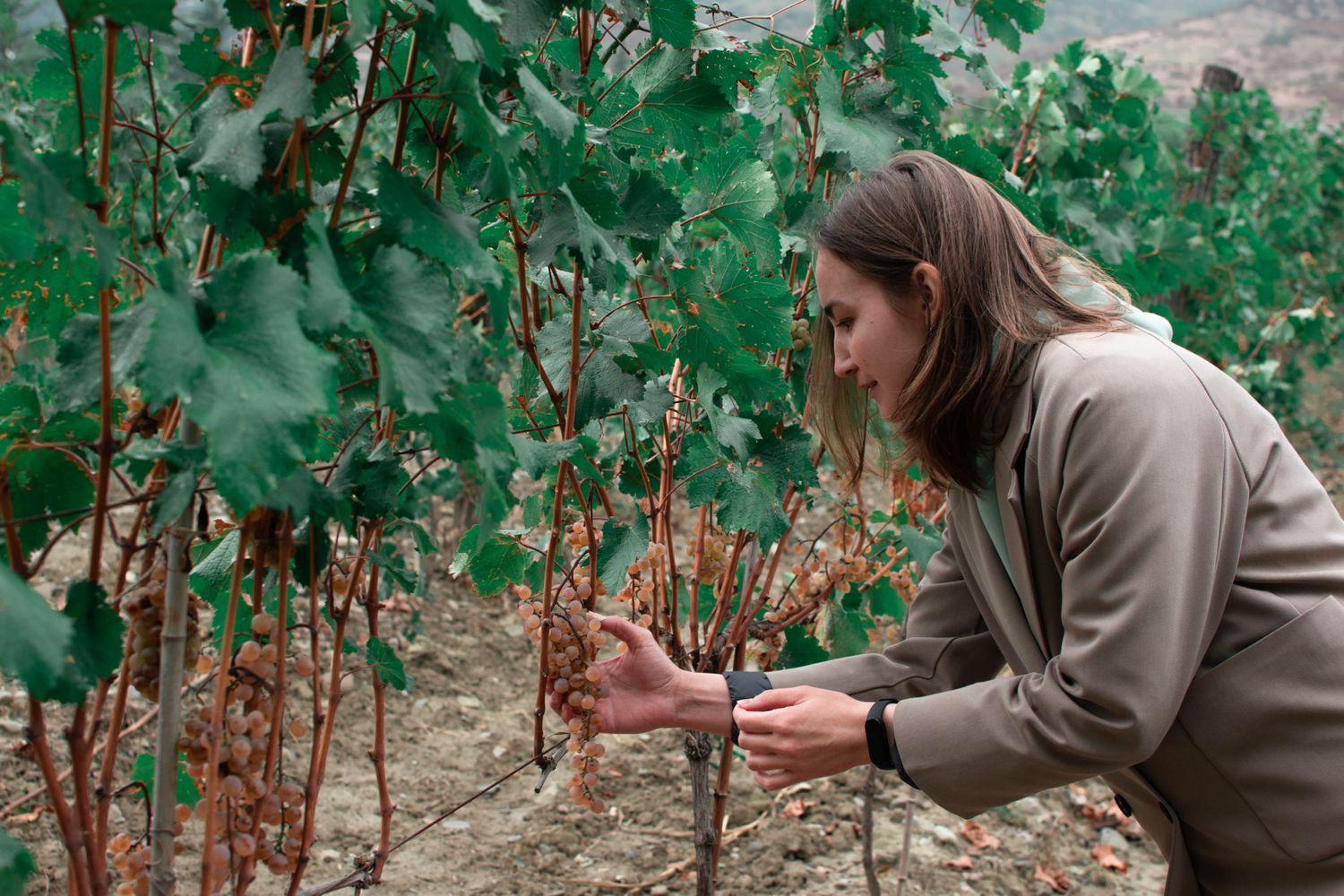 Армения и Грузия в одном путешествии (22/87)