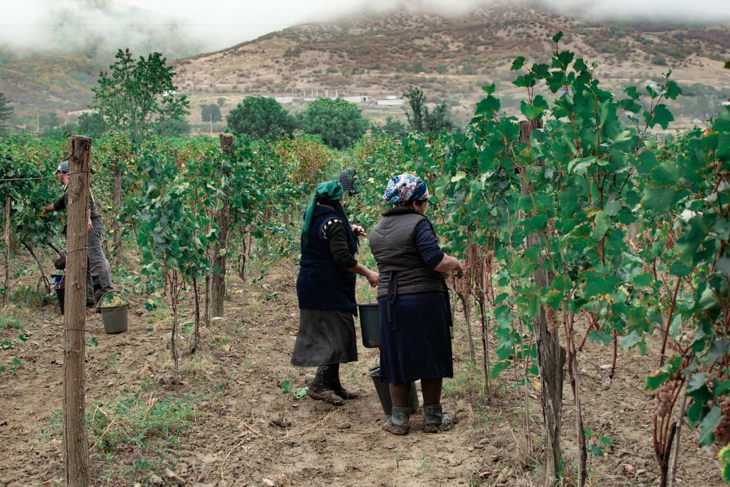 Армения и Грузия в одном путешествии (8/87)