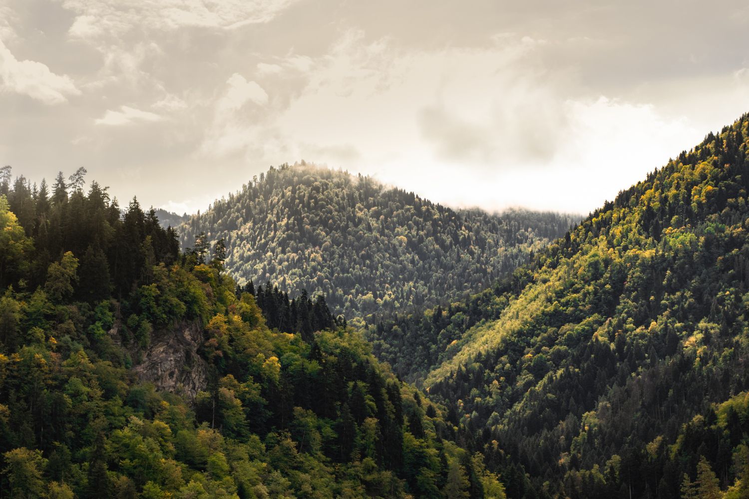 Армения и Грузия в одном путешествии (40/87)