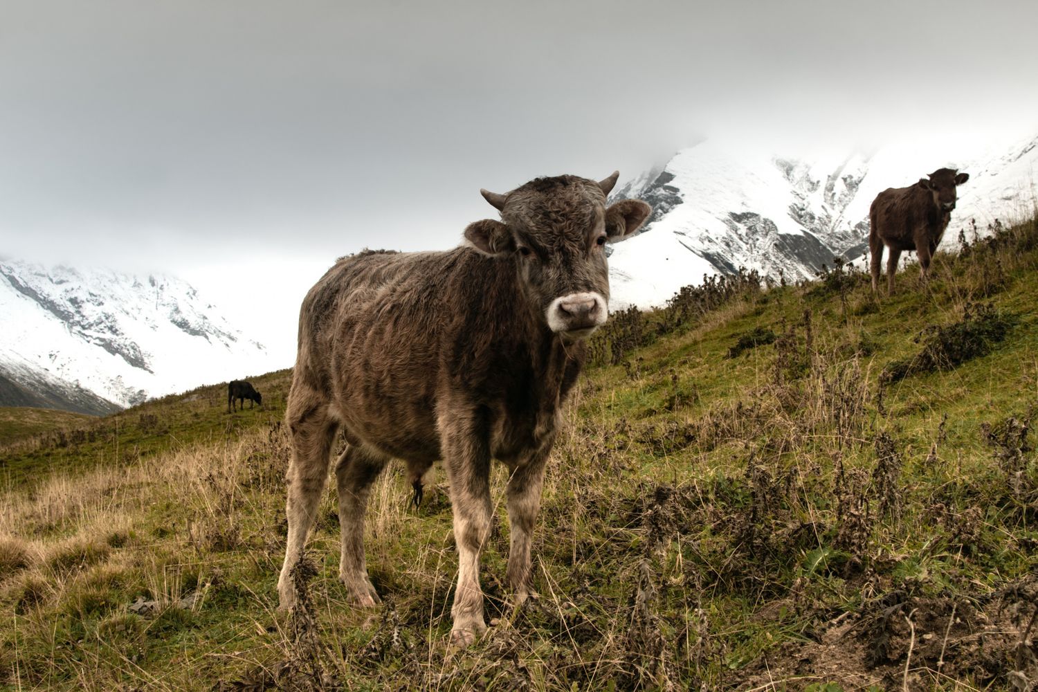 Армения и Грузия в одном путешествии (39/87)