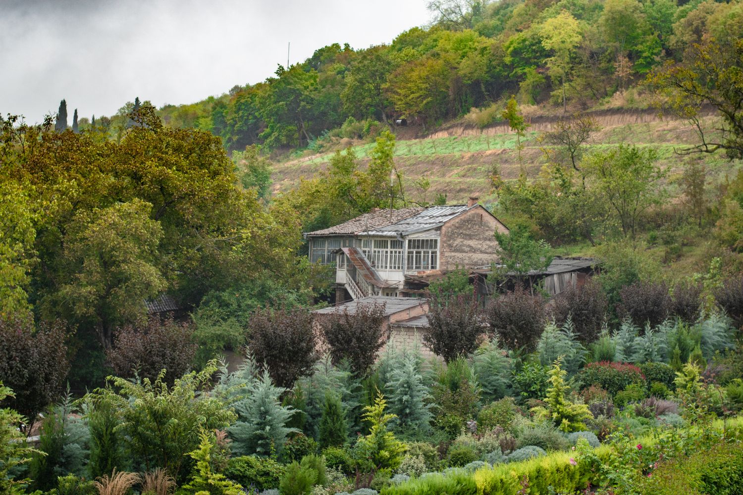 Армения и Грузия в одном путешествии (53/87)