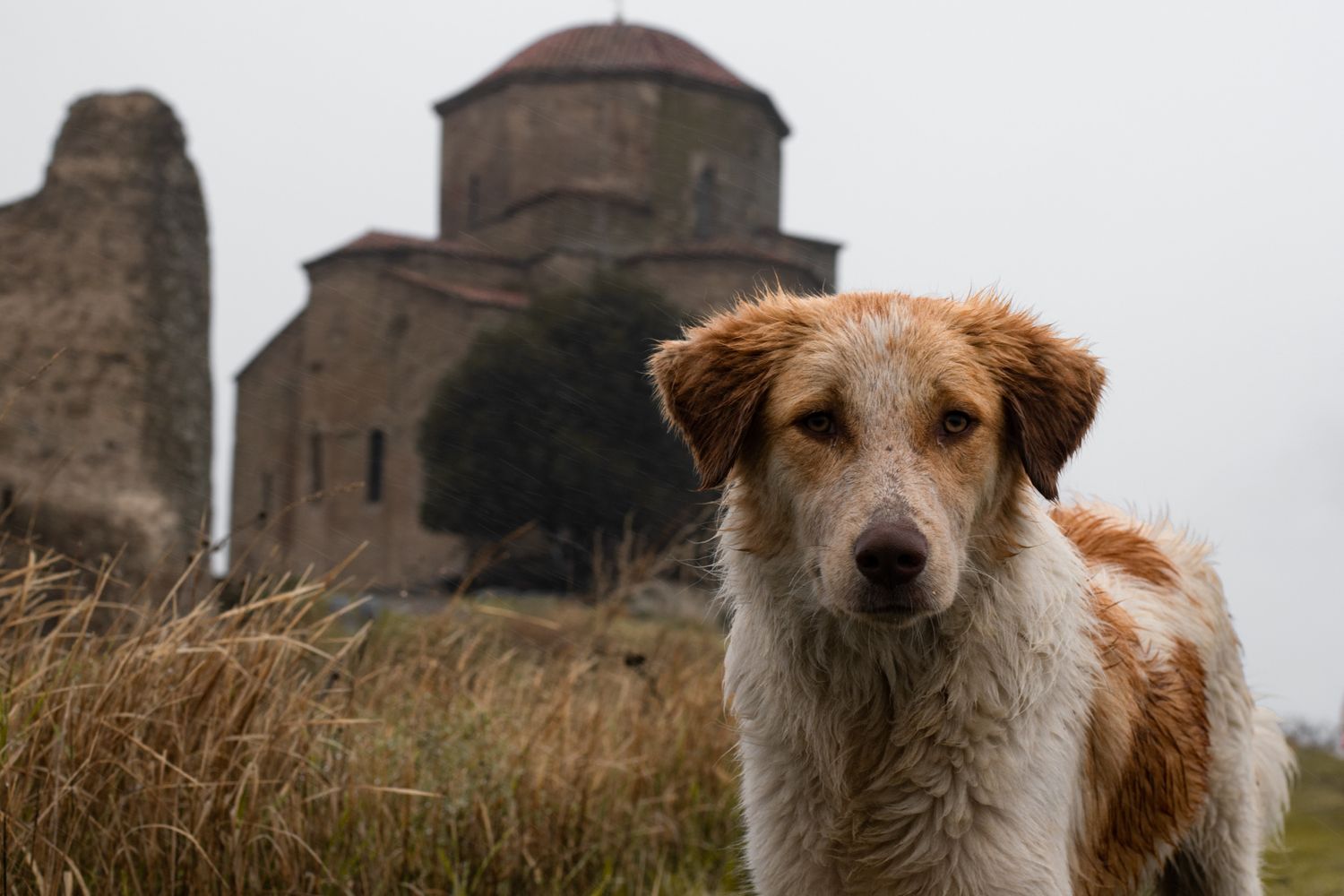 Армения и Грузия в одном путешествии (9/87)