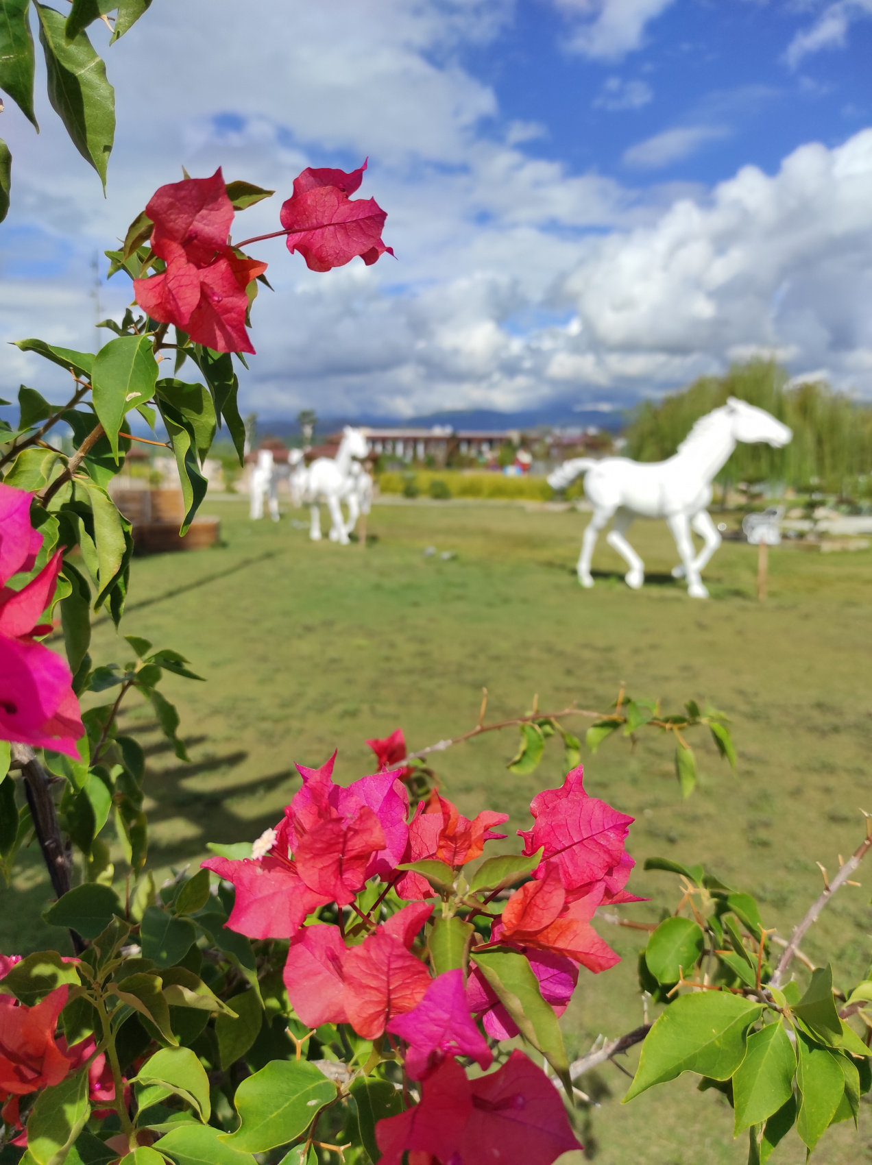 Стамбул и море (Каш, Капуташ, Фетхие, Олюдениз) (20/39)