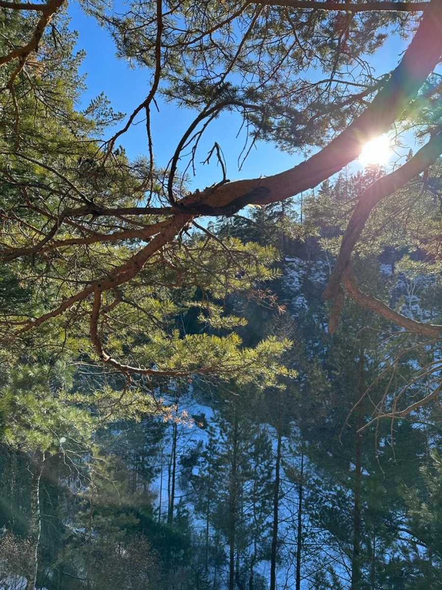 Бриллиантовый лёд и врата Байкала: от Листвянки до Ольхона (16/68)