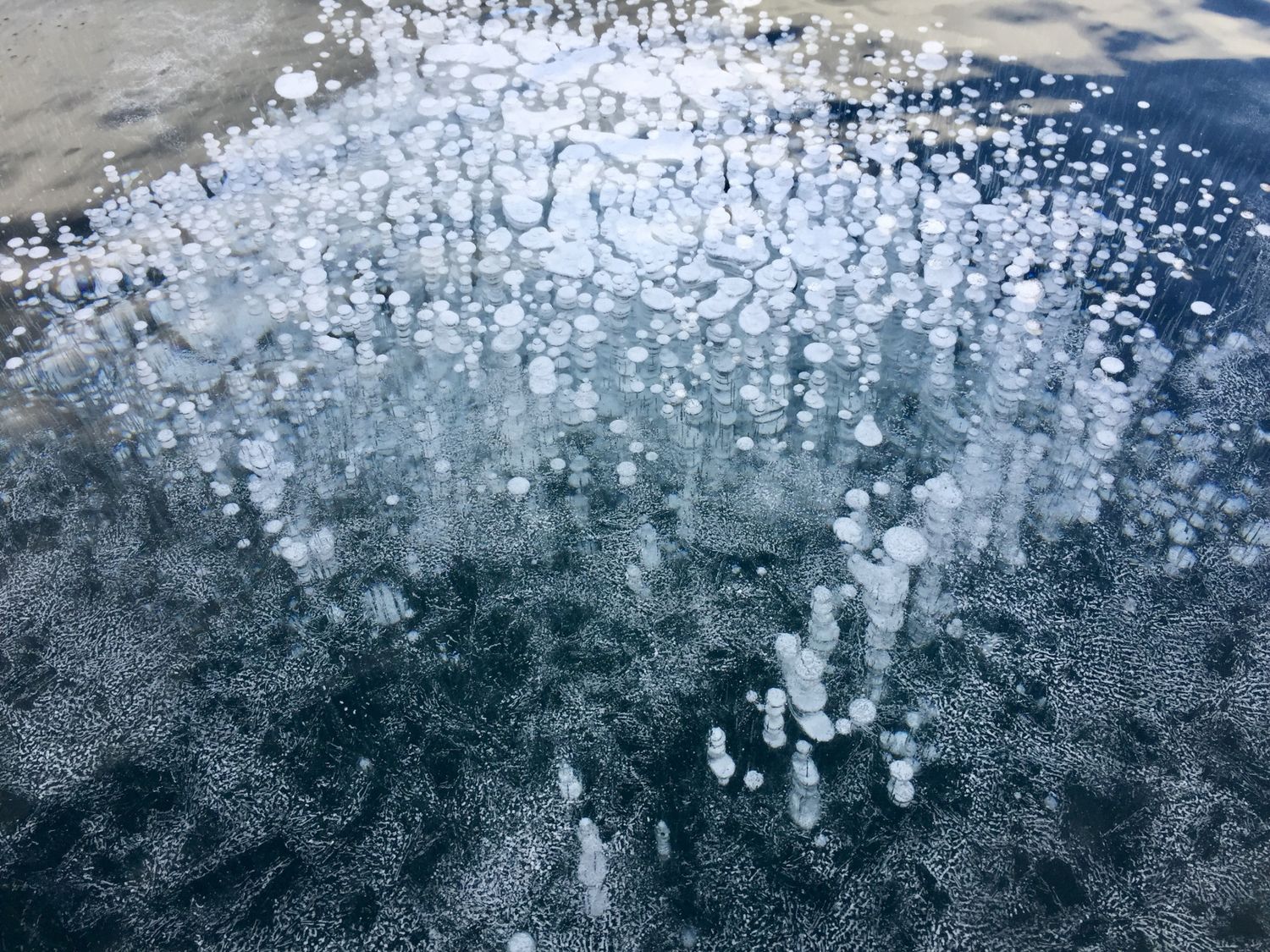 Дары и сияние Байкала от Иркутска до Ольхона. Комфорт. (34/108)