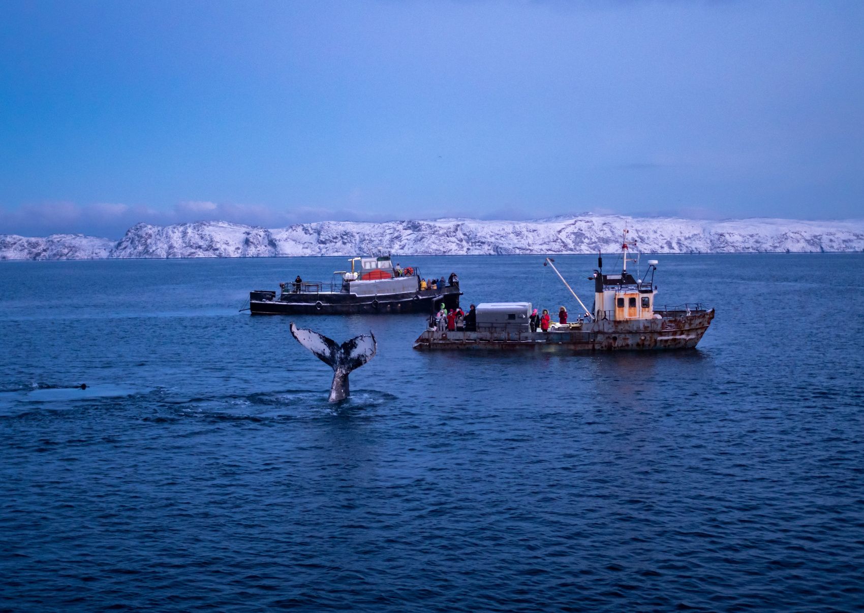 В Арктику вместе с фотографом: Териберка, киты, сияние и снегоходы