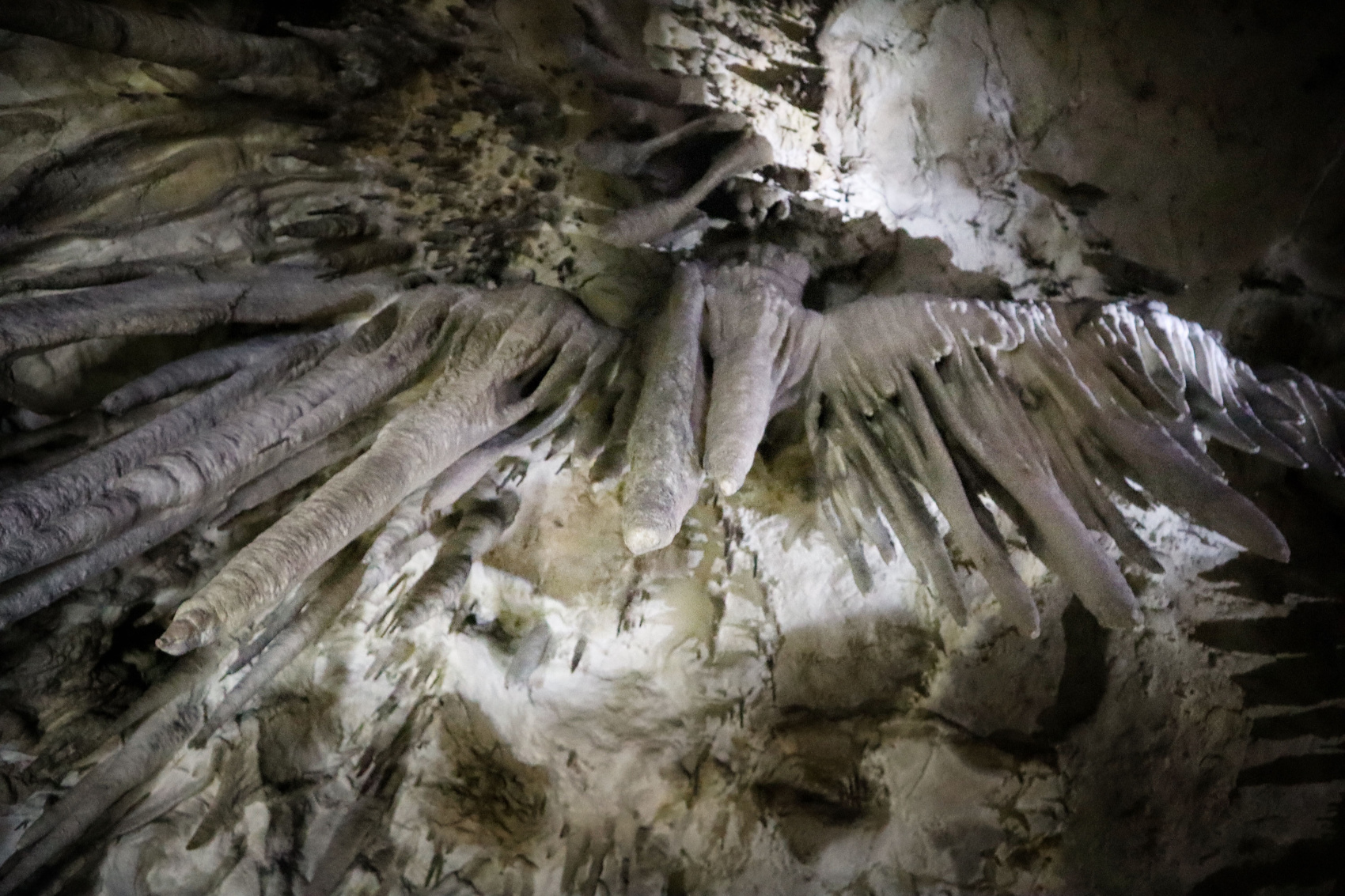  Комфорт + актив: в Адыгею на 4 дня (индивидуально, по запросу)  (10/22)