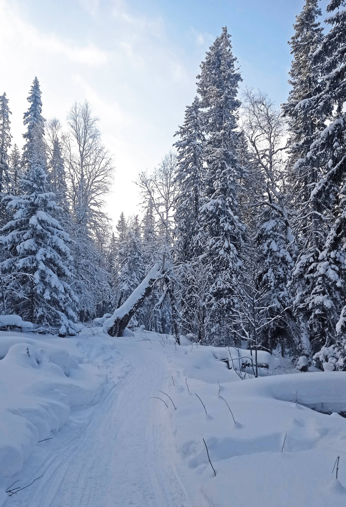 Мультиактивный отдых на Южном Урале (зима) (2/22)