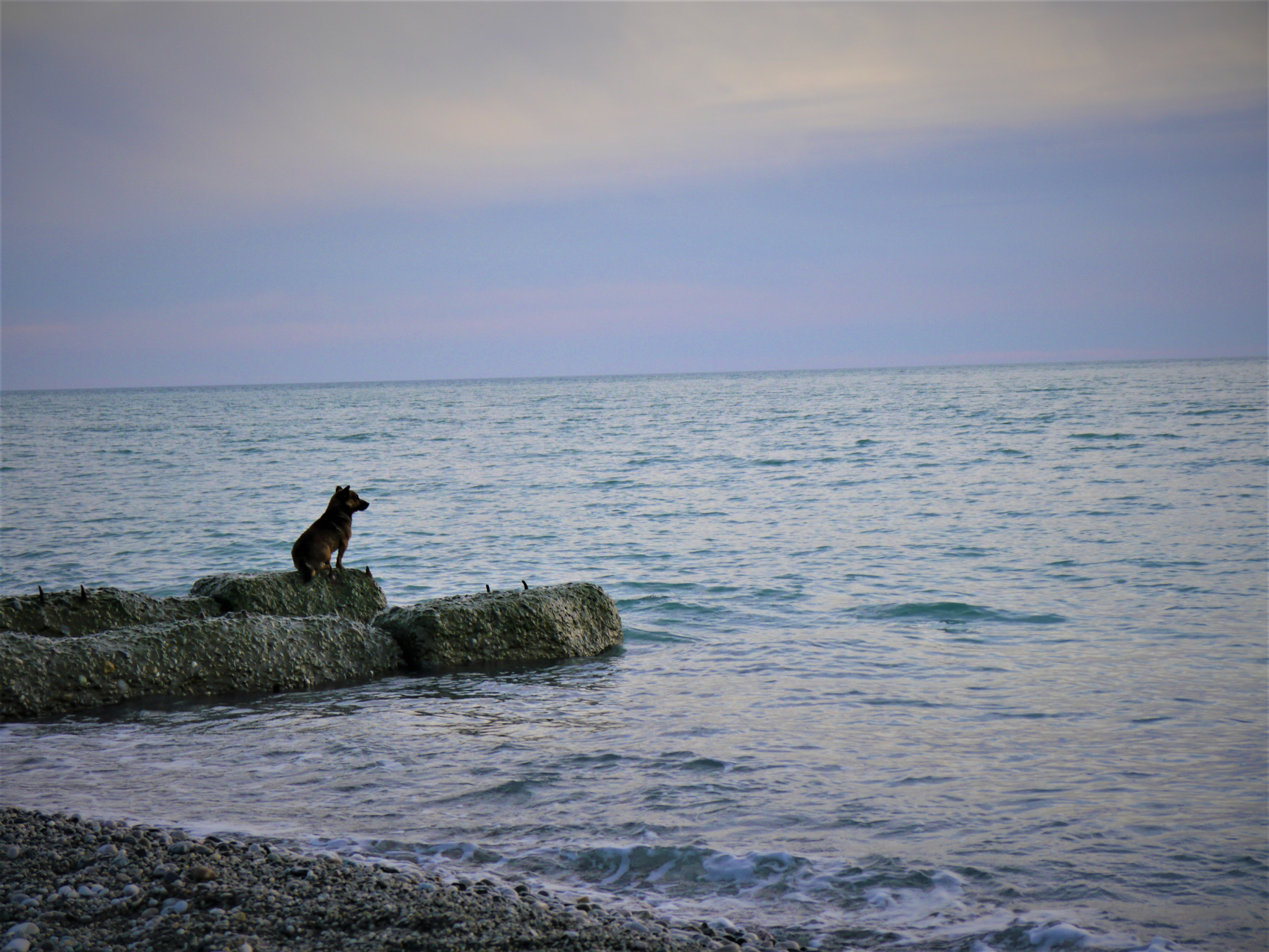 Впервые в Абхазию (48/67)