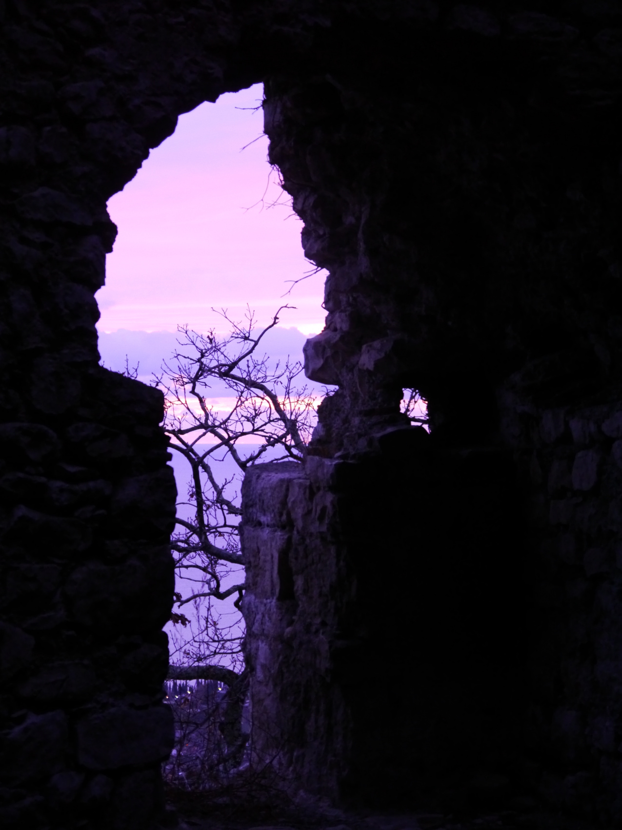 Впервые в Абхазию (29/67)