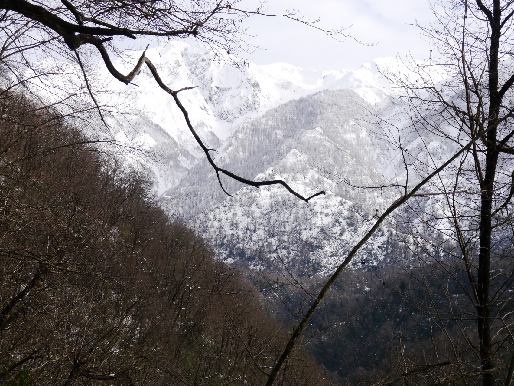 Впервые в Абхазию (17/67)