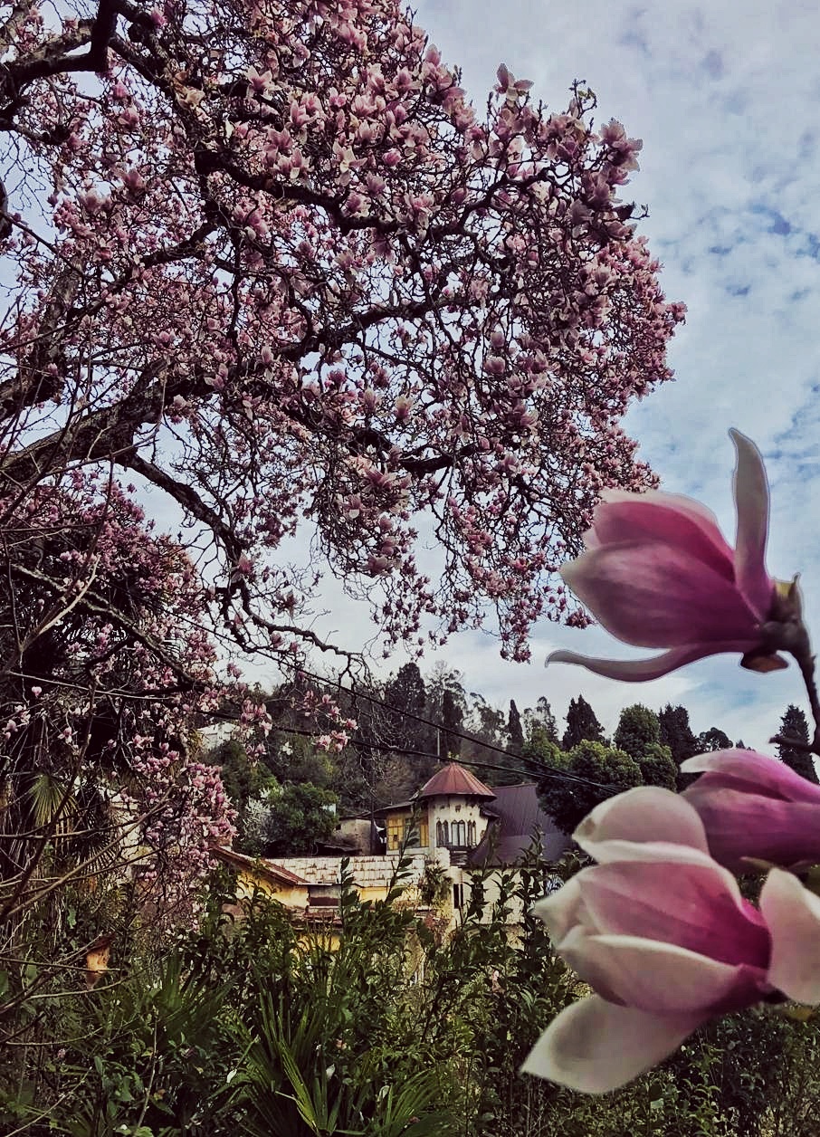 Впервые в Абхазию (43/67)