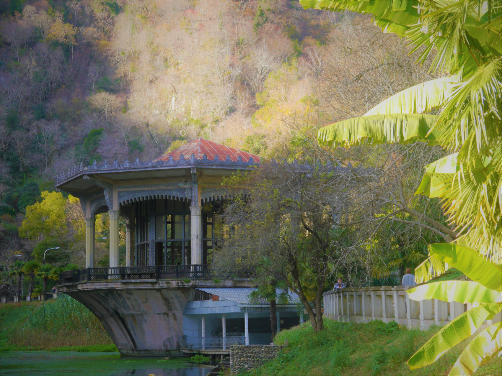 Впервые в Абхазию (39/67)