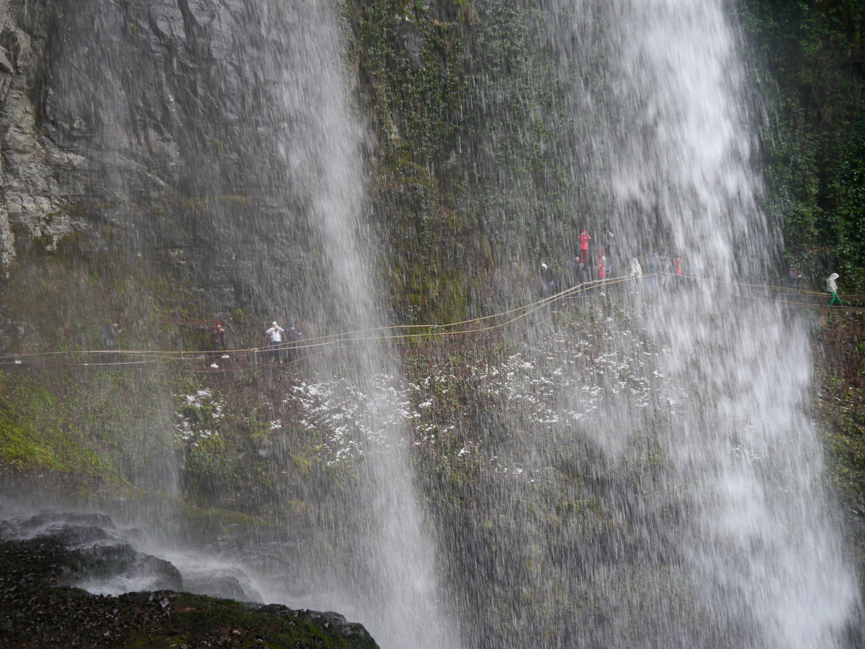 Впервые в Абхазию (16/67)