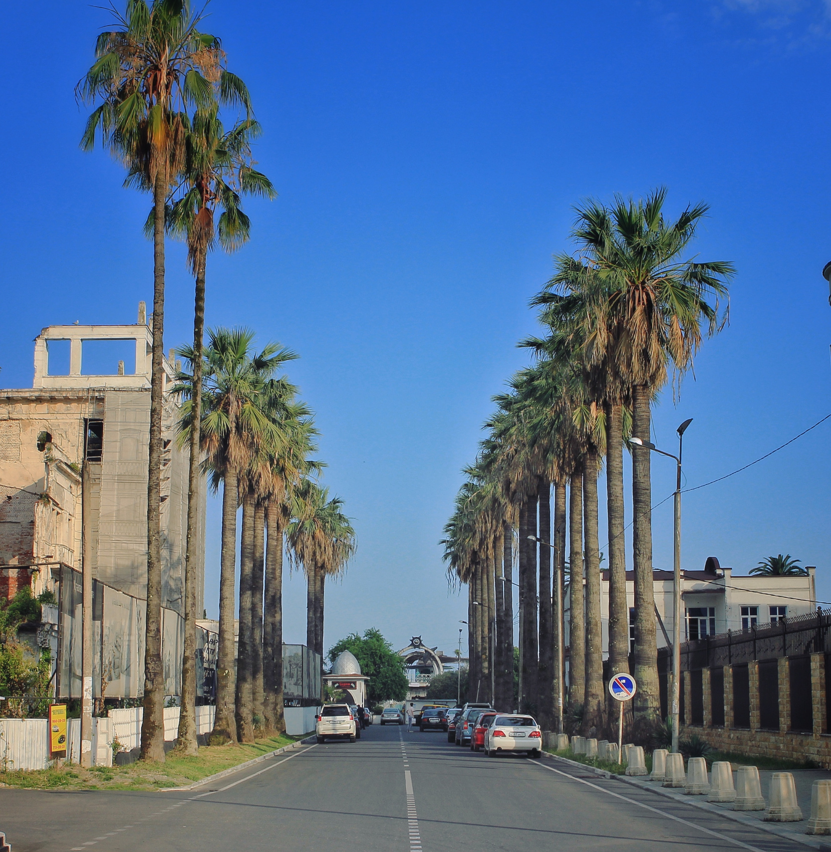 Впервые в Абхазию (7/67)