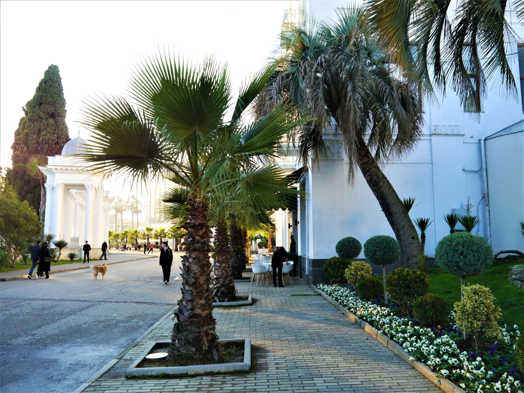 Впервые в Абхазию (8/67)