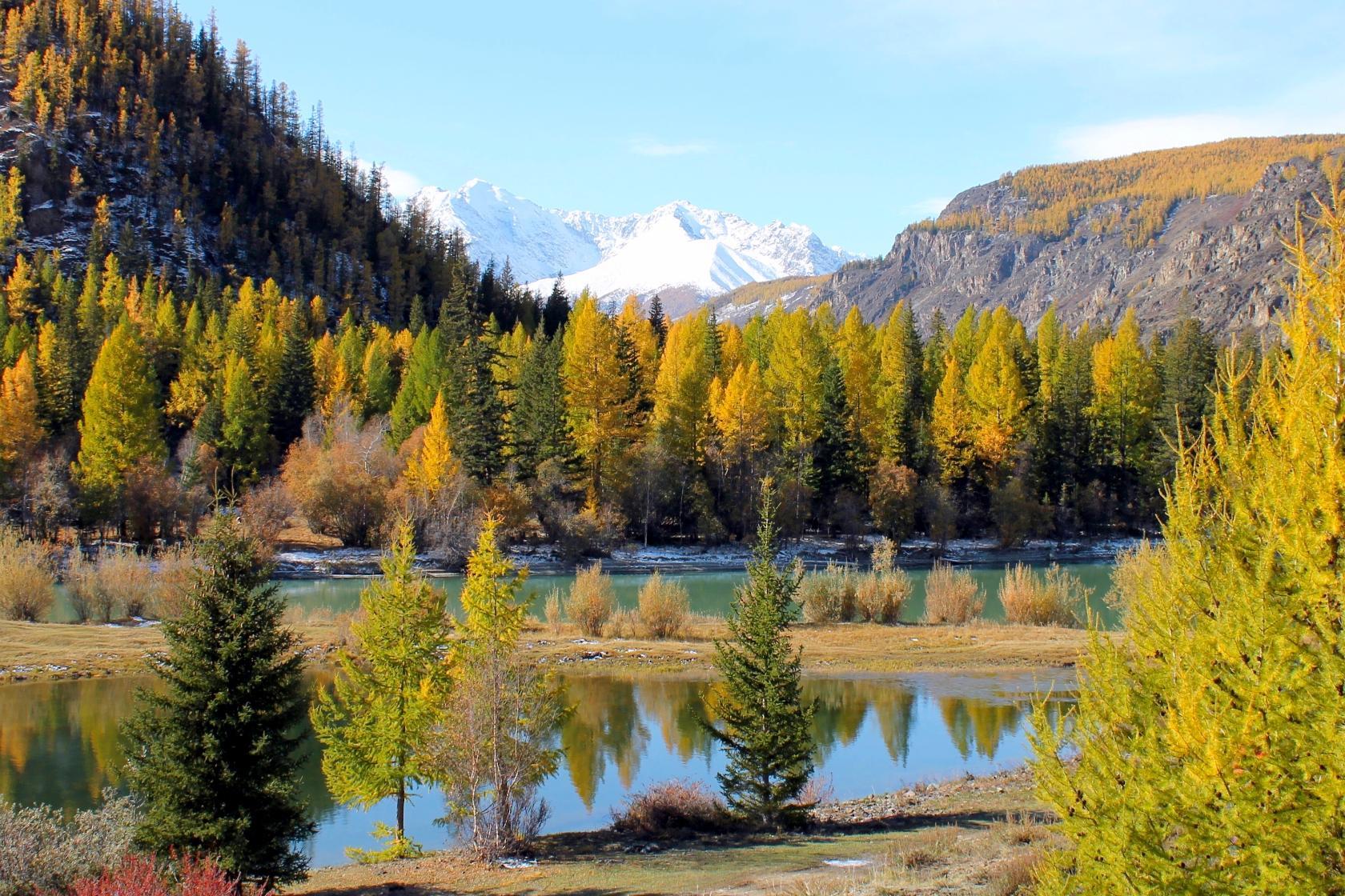 Золото Алтая, путешествие в царство осенних красок (4/31)