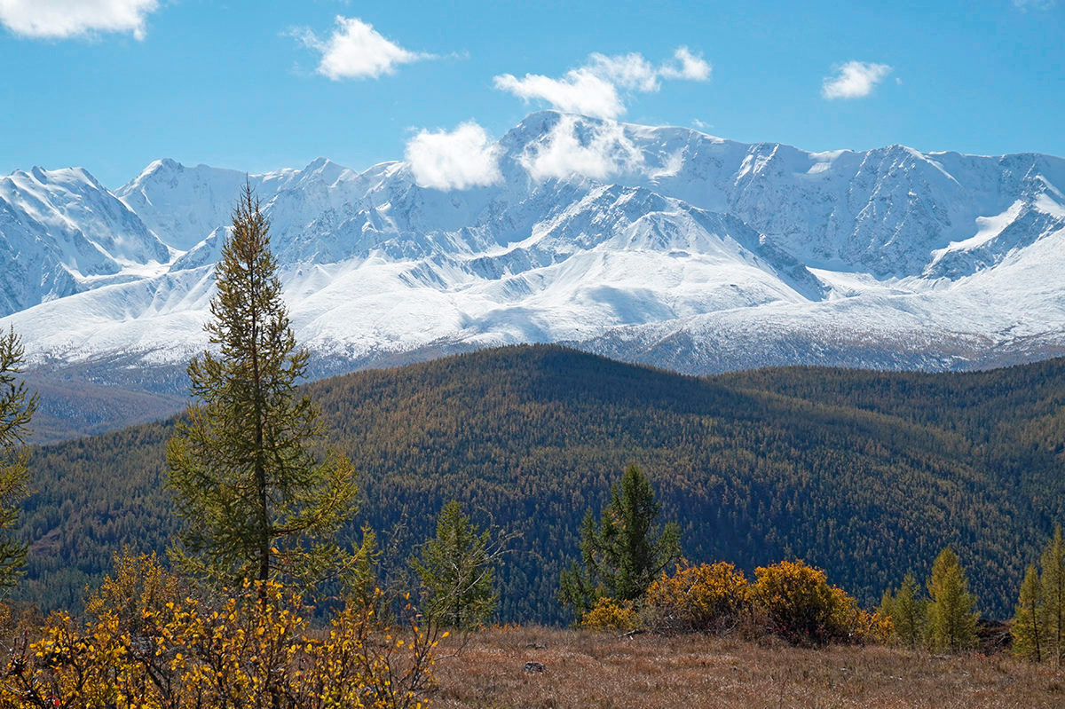 Золото Алтая, путешествие в царство осенних красок (15/31)