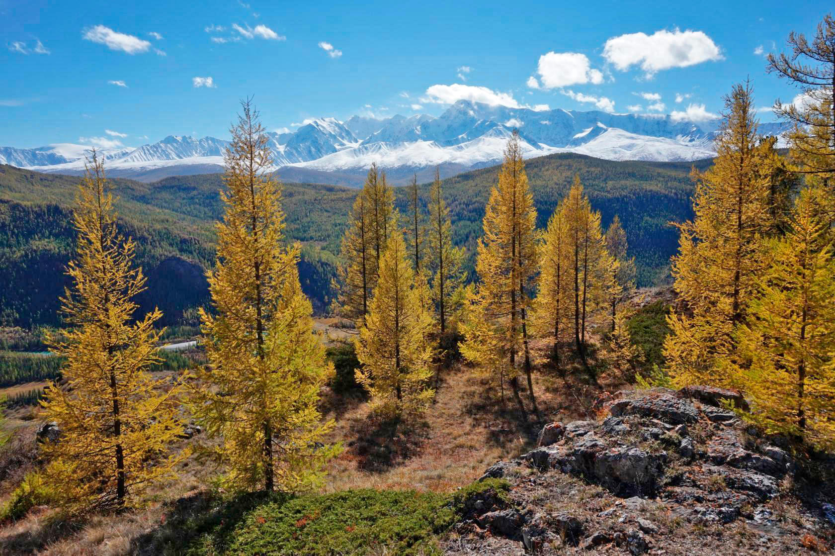 Золото Алтая, путешествие в царство осенних красок (8/31)
