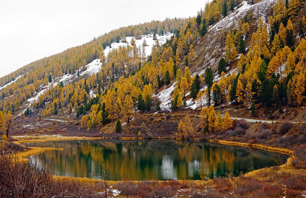 Золото Алтая, путешествие в царство осенних красок (9/31)