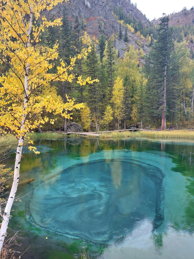 Золото Алтая, путешествие в царство осенних красок (11/31)