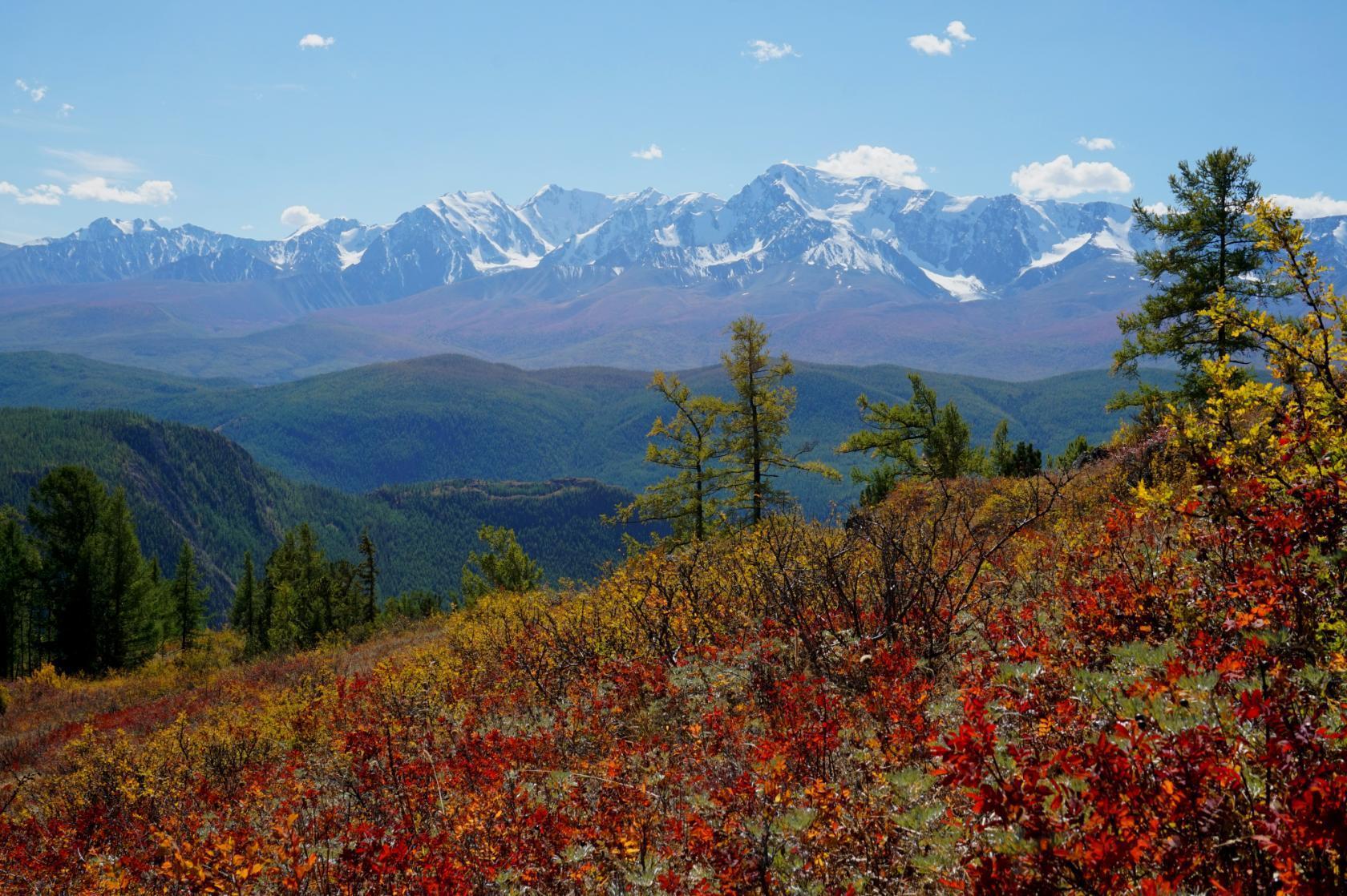Золото Алтая, путешествие в царство осенних красок (5/31)