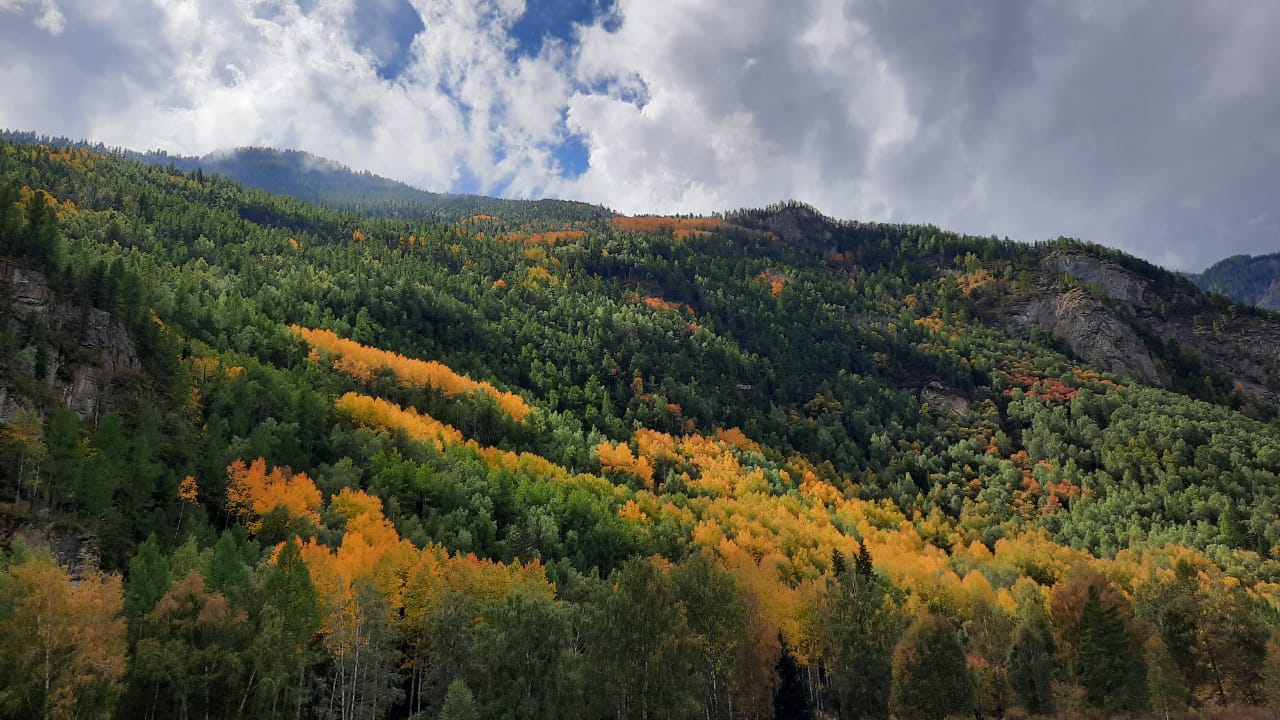 Золото Алтая, путешествие в царство осенних красок (6/31)