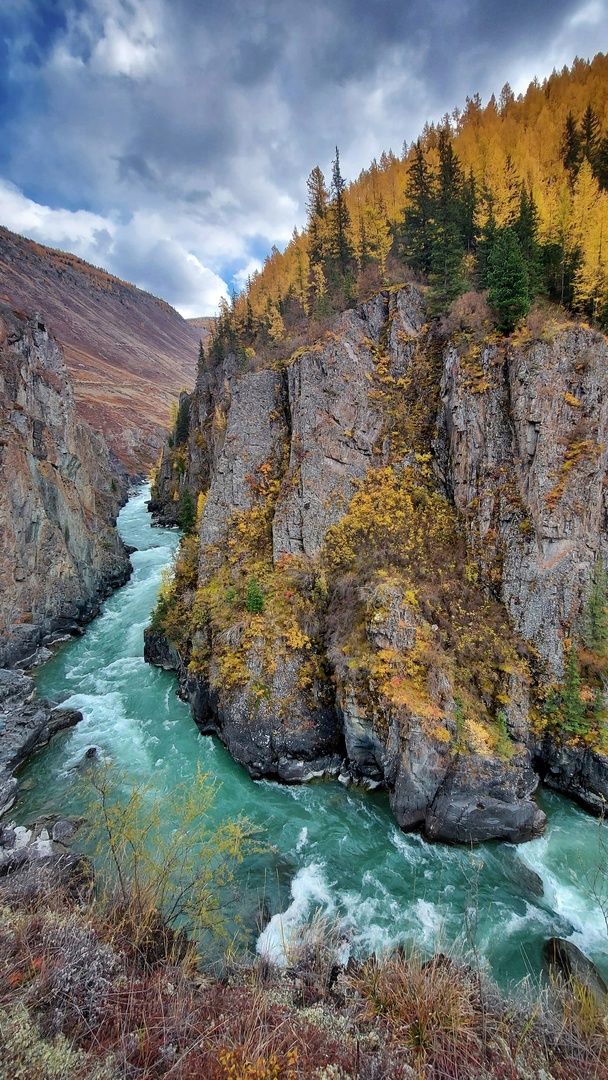 Золото Алтая, путешествие в царство осенних красок (12/31)