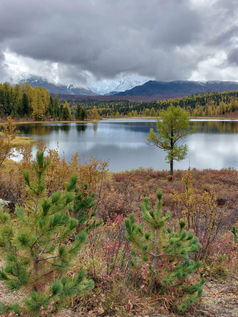Золото Алтая, путешествие в царство осенних красок (16/31)