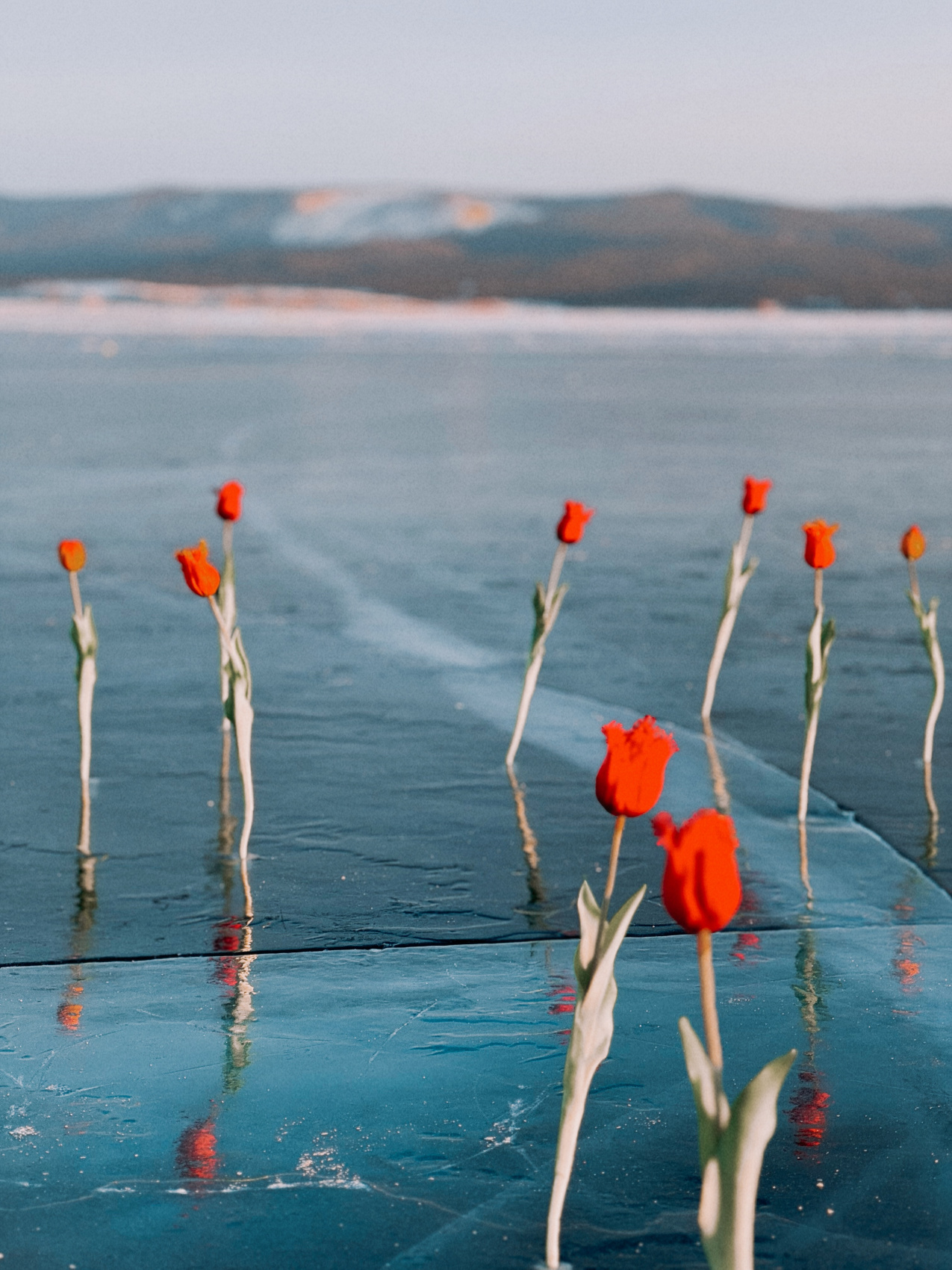 Сердце Байкала (74/109)