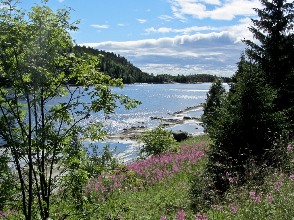 Сплав по реке Умба (12/31)