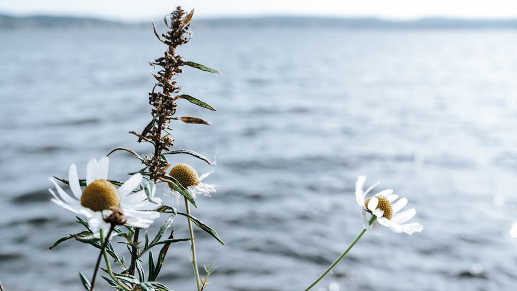 Сплав по реке Умба (6/31)