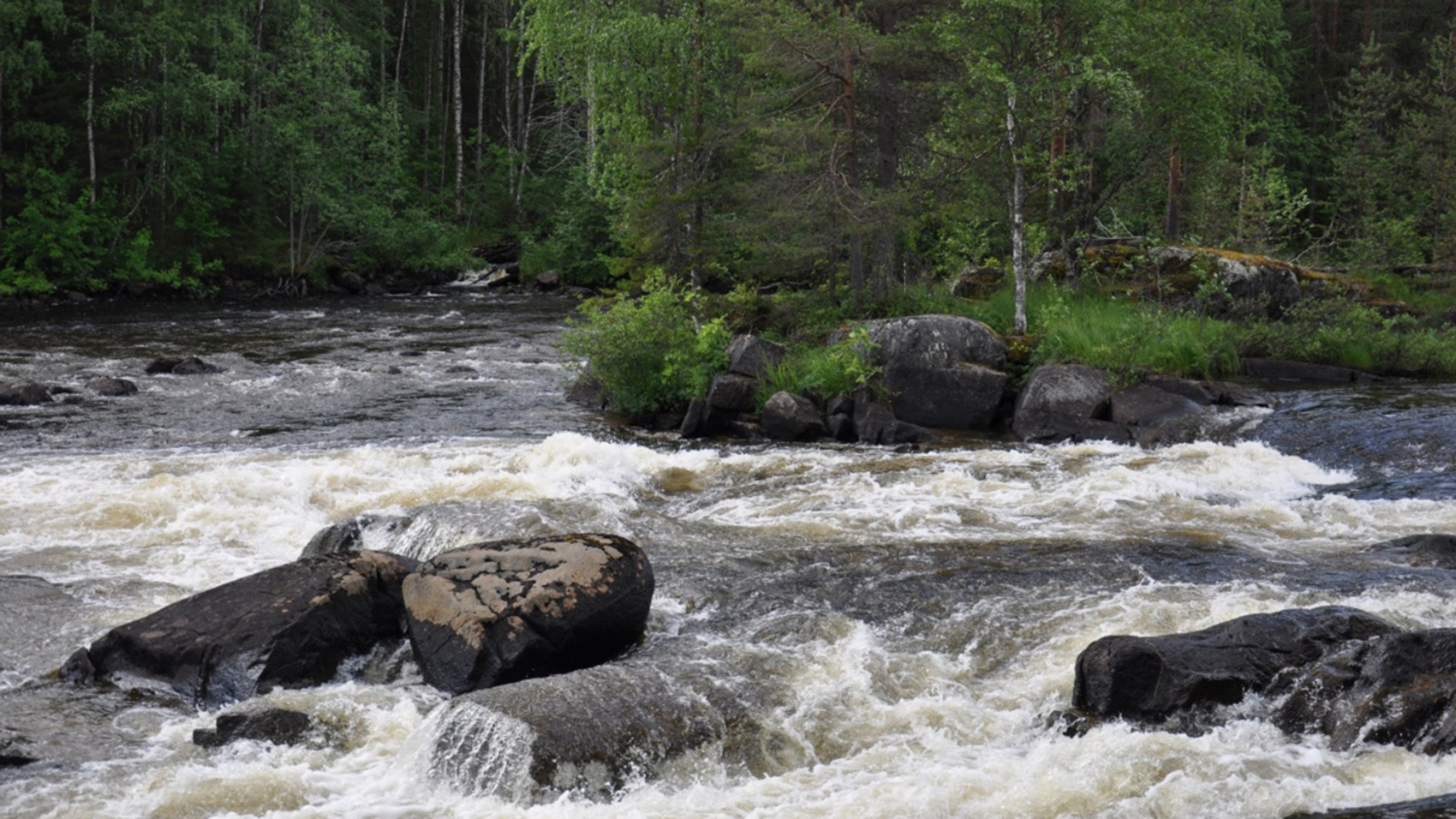 Сплав по реке Умба (4/31)