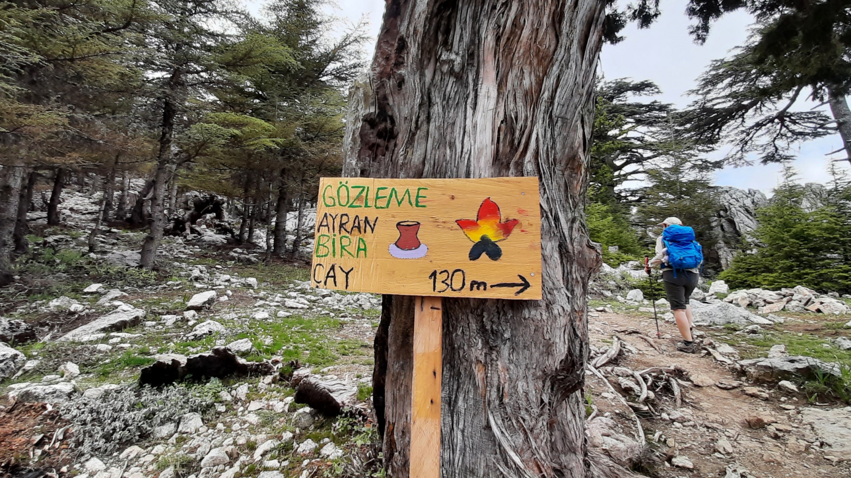 Ликийская тропа без рюкзаков + Каппадокия  (29/73)