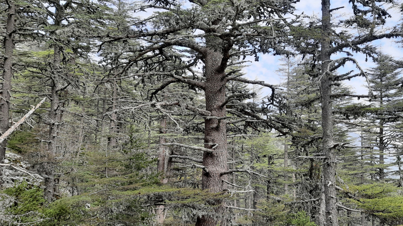 Ликийская тропа без рюкзаков + Каппадокия  (32/73)