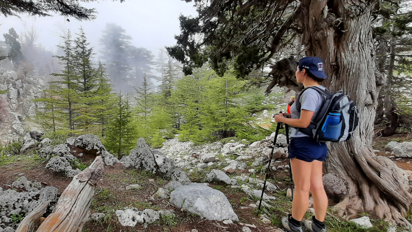 Ликийская тропа без рюкзаков + Каппадокия  (24/73)