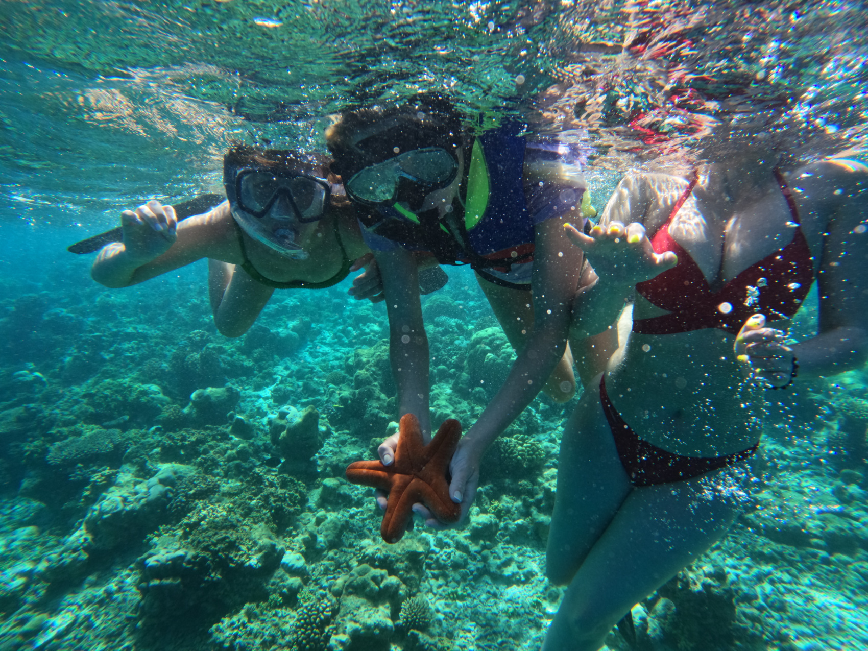 Доступные Мальдивы (все включено) (23/35)